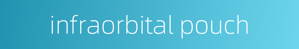 infraorbital pouch的同义词