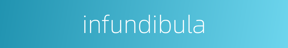 infundibula的同义词