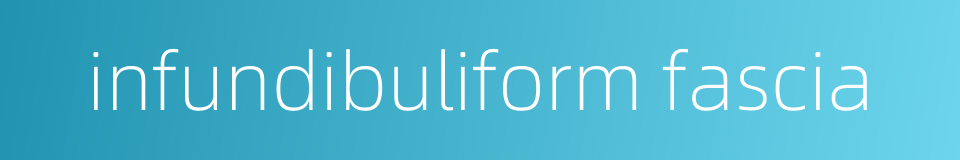 infundibuliform fascia的同义词