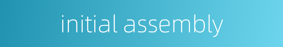 initial assembly的同义词