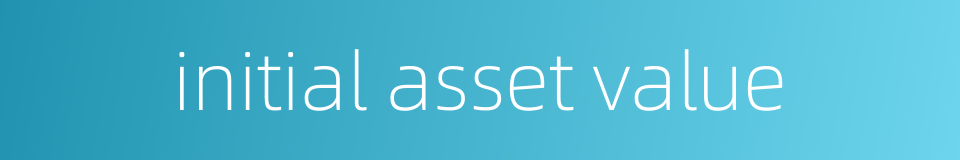 initial asset value的同义词