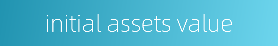 initial assets value的同义词