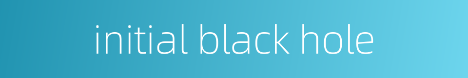 initial black hole的同义词