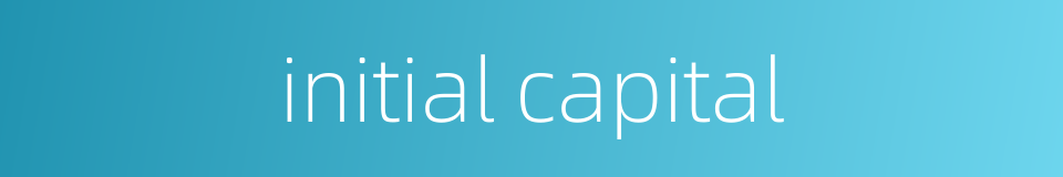 initial capital的同义词