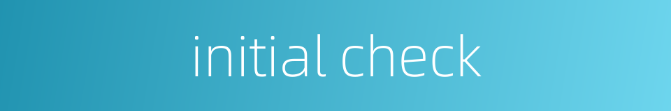 initial check的同义词