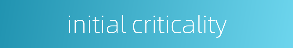 initial criticality的同义词