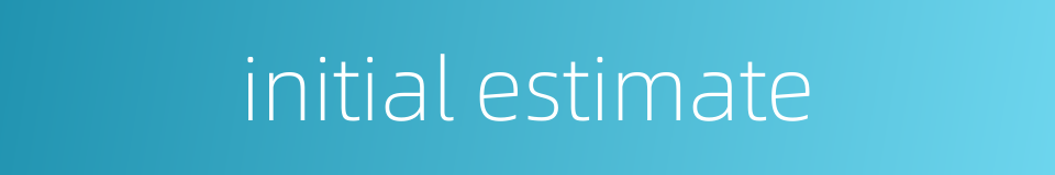 initial estimate的同义词