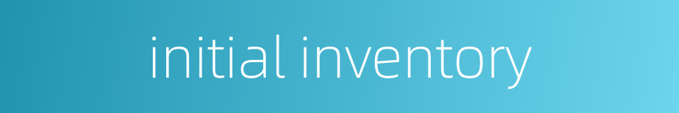 initial inventory的同义词