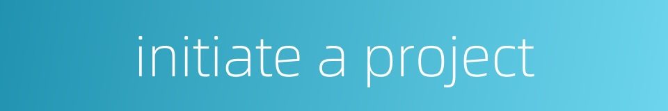 initiate a project的同义词