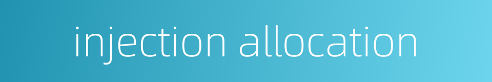 injection allocation的同义词