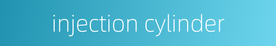 injection cylinder的同义词