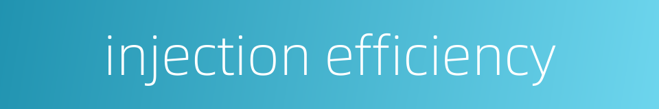 injection efficiency的同义词
