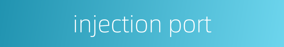 injection port的同义词