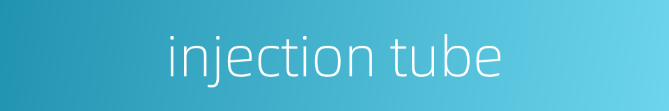 injection tube的同义词
