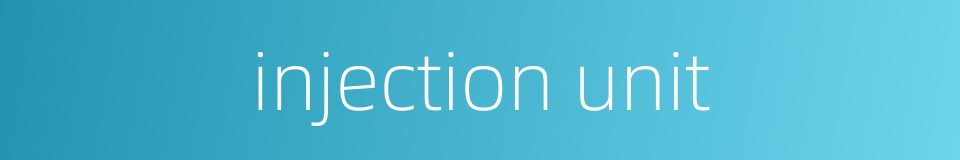 injection unit的同义词
