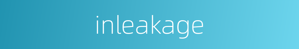 inleakage的同义词