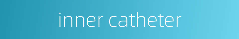 inner catheter的同义词