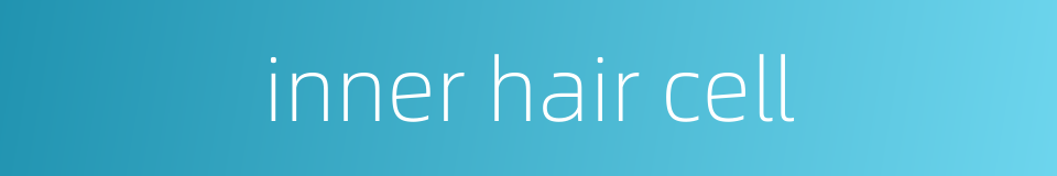 inner hair cell的同义词
