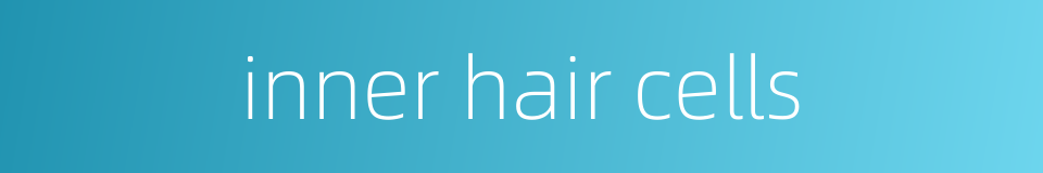 inner hair cells的同义词
