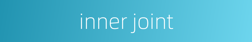 inner joint的同义词