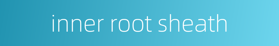 inner root sheath的同义词