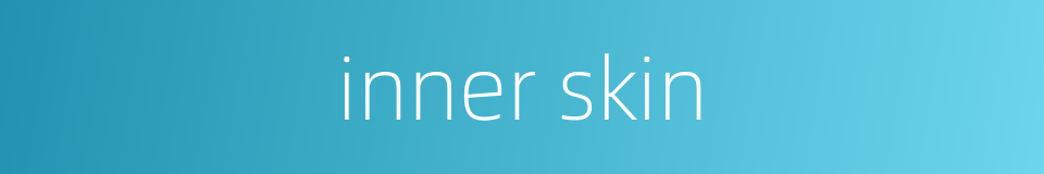 inner skin的同义词