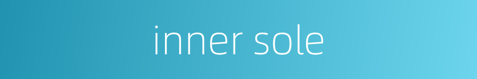 inner sole的同义词