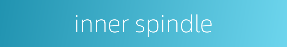 inner spindle的同义词