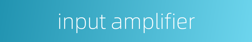 input amplifier的同义词