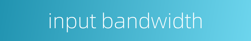 input bandwidth的同义词