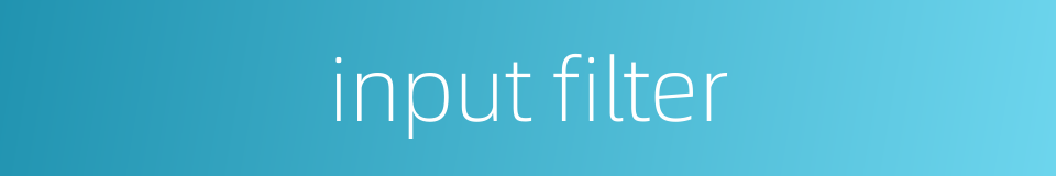 input filter的同义词