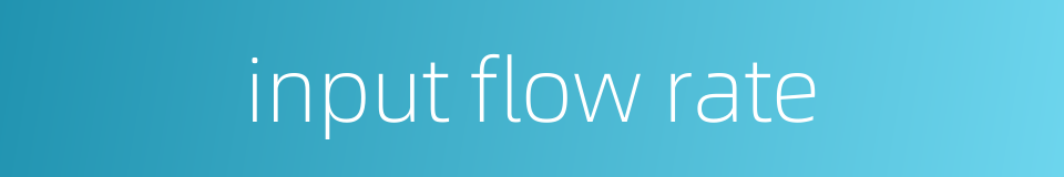 input flow rate的同义词