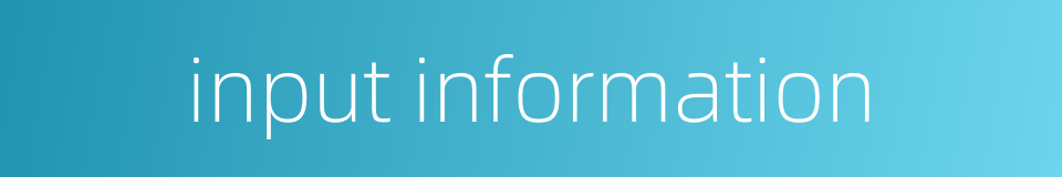 input information的同义词