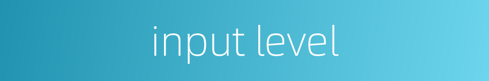 input level的同义词