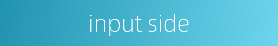 input side的同义词
