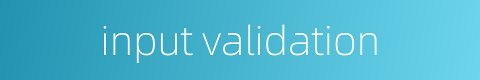input validation的同义词