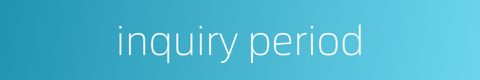 inquiry period的同义词