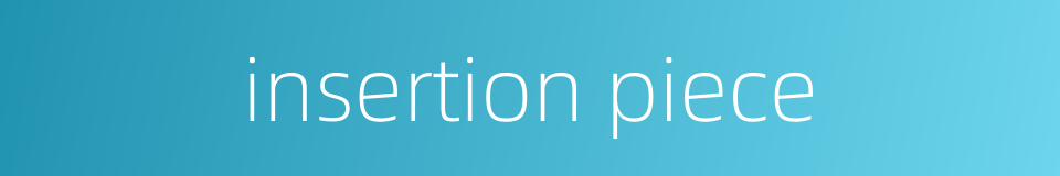 insertion piece的同义词