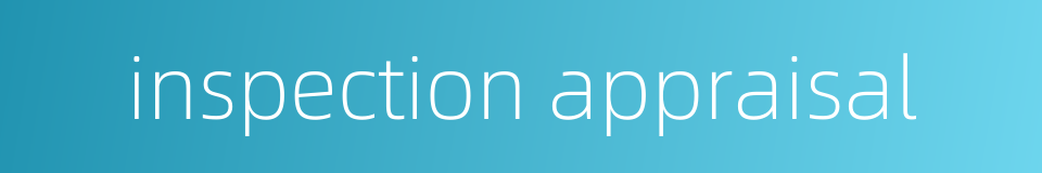 inspection appraisal的同义词