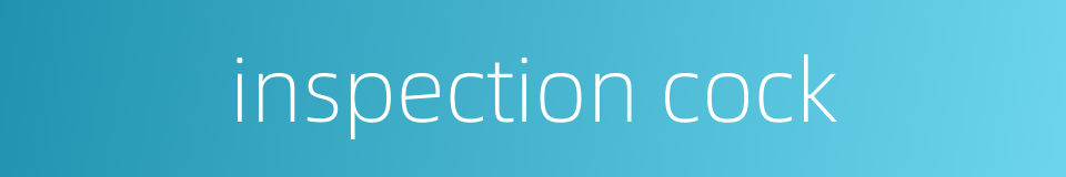 inspection cock的同义词