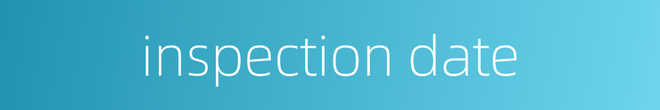 inspection date的同义词