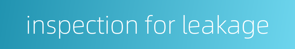 inspection for leakage的同义词