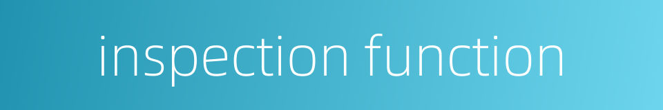 inspection function的同义词