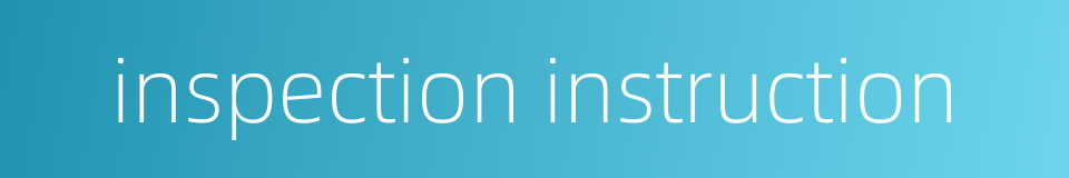 inspection instruction的同义词