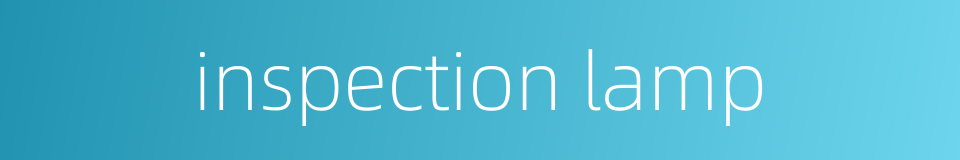 inspection lamp的同义词