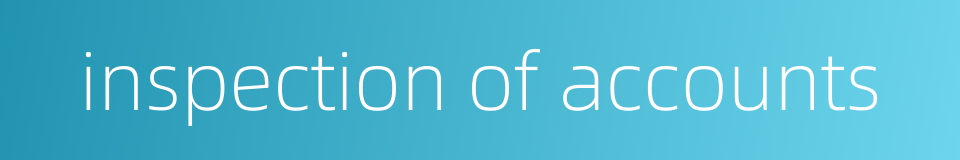 inspection of accounts的同义词