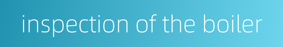 inspection of the boiler的同义词