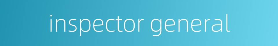 inspector general的同义词