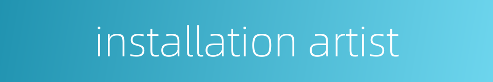 installation artist的同义词