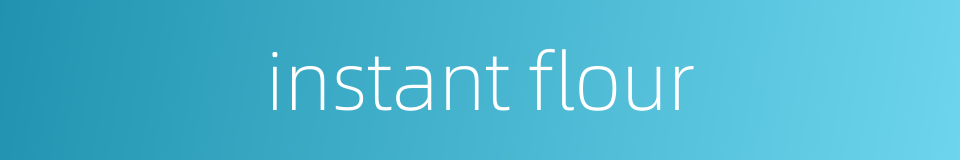 instant flour的同义词